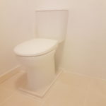 Toilet with new seat and plinth