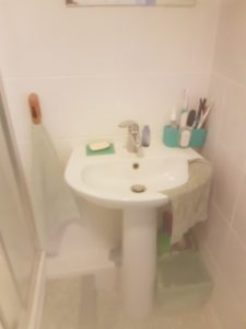 original basin