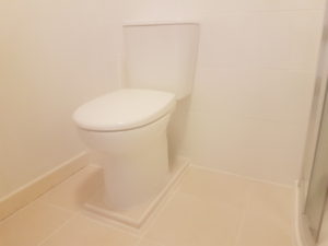 Toilet with new seat and plinth